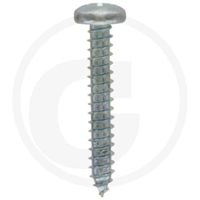 Bolkop plaatschroef 4,8 x 32 DIN 7981 (VPE100)