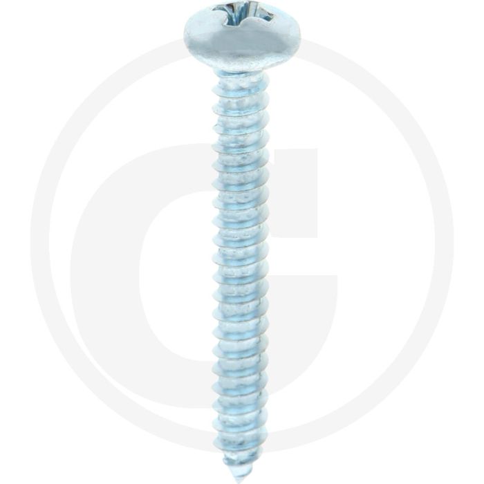 Bolkop plaatschroef 4,8 x 38 DIN 7981 (VPE100)