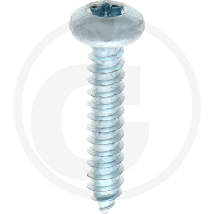 Bolkop plaatschroef 4,8 x 25 DIN 7981 (VPE500)