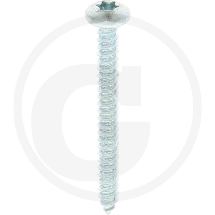 Bolkop plaatschroef 4,8 x 45 DIN 7981 (VPE250)