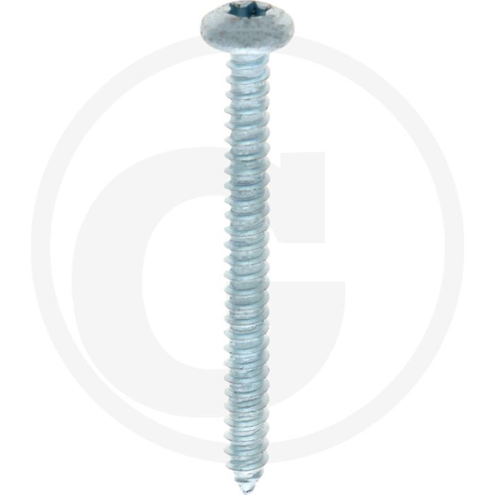 Bolkop plaatschroef 4,8 x 50 DIN 7981 (VPE250)
