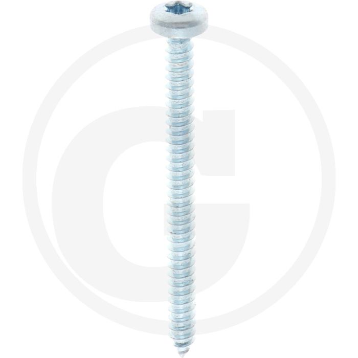 Bolkop plaatschroef 4,8 x 60 DIN 7981 (VPE250)