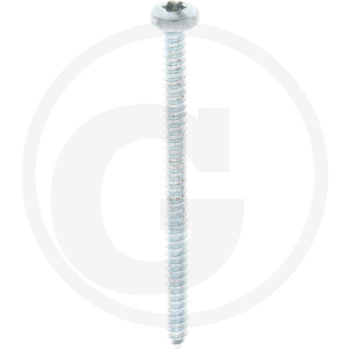 Bolkop plaatschroef 4,8 x 70 DIN 7981 (VPE250)