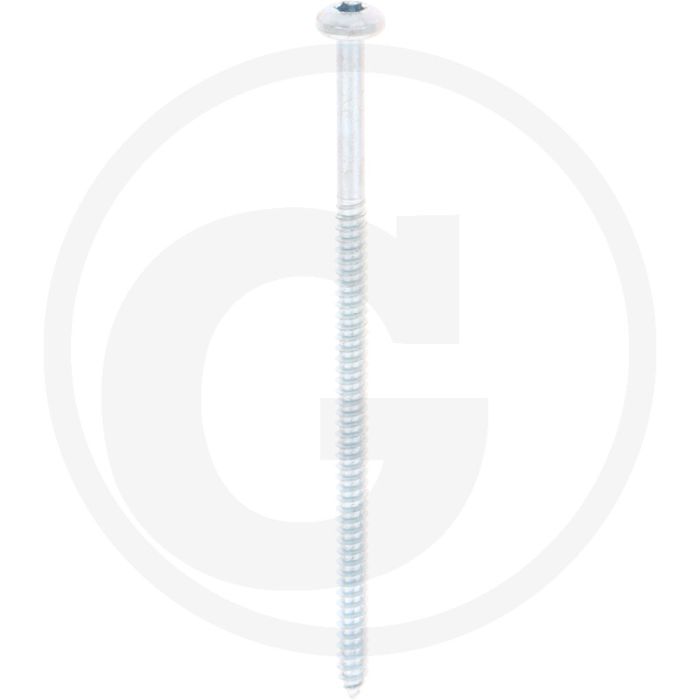 Bolkop plaatschroef 4,8 x 100 DIN 7981 (VPE250)