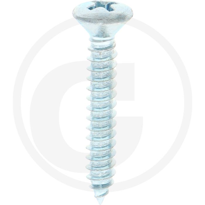 Bolkop plaatschroef 4,8 x 32 DIN 7983 (VPE100)