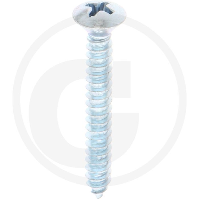 Bolkop plaatschroef 4,8 x 38 DIN 7983 (VPE100)