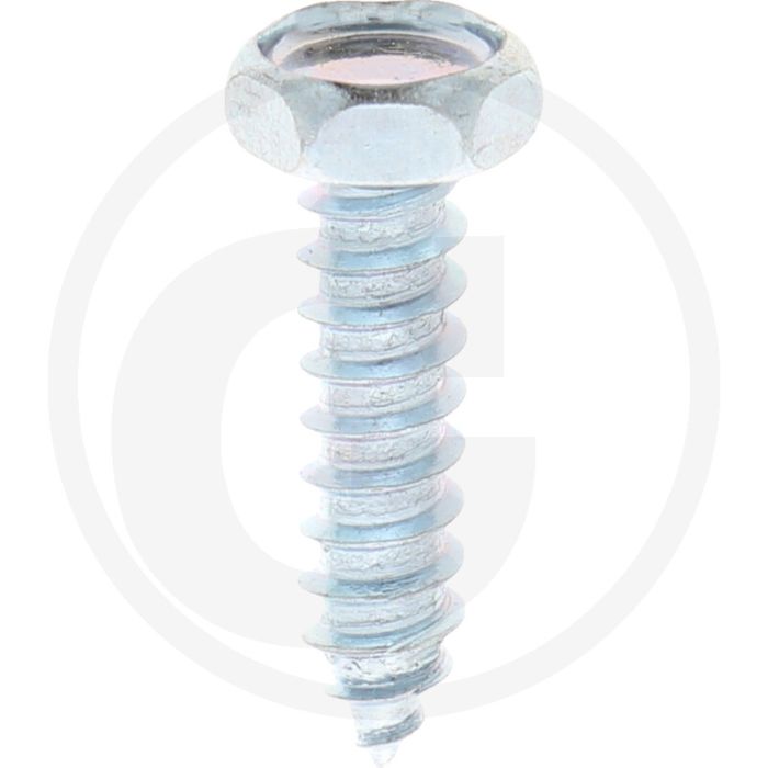 VPE250 zeskantbouten M4x19 DIN 7976 gegalvaniseerd staal 4.8 buitenzeskant