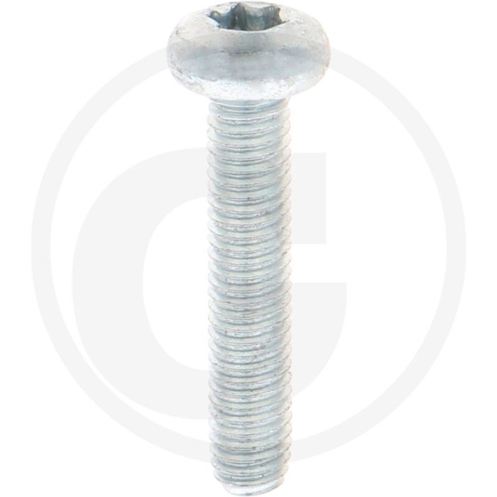 Zelfdraadvormende bout M5 x 25 DIN7500 (VPE1000)