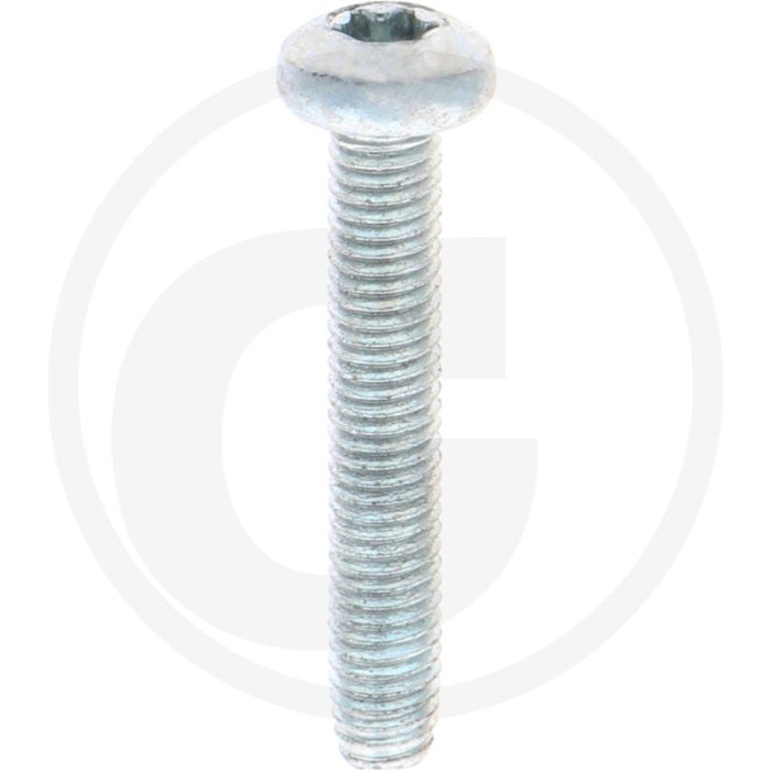 Zelfdraadvormende bout M5 x 30 DIN7500 (VPE500)
