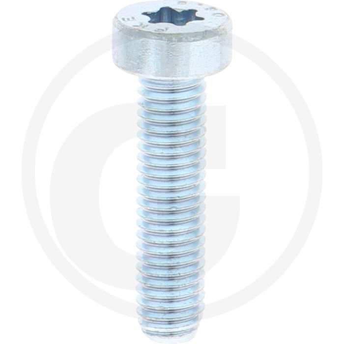 VPE500 cilinderkopbouten M5x20 DIN 7984 staal 8.8 verzinkt TORX T25