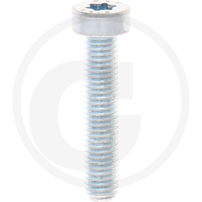 VPE500 cilinderkopbouten M5x25 DIN 7984 staal 8.8 gegalvaniseerd TORX® T25