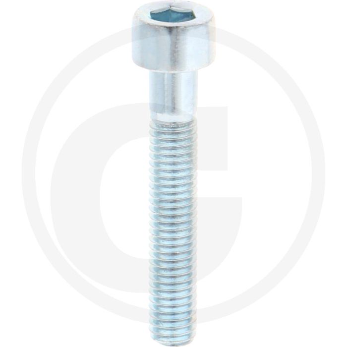 VPE100 cil. binnenzeskantb. M5x30 DIN912 (VPE100)