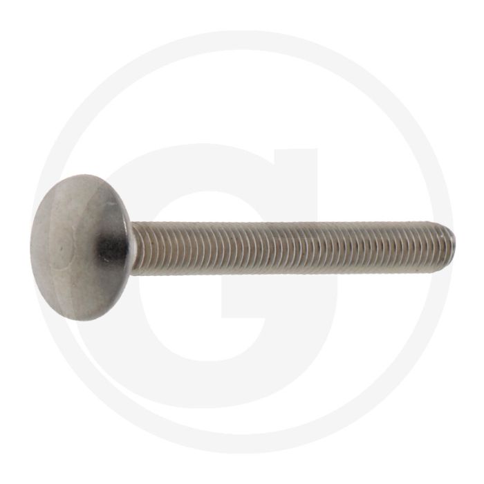 Slotbout M5 x 45, DIN 603, Roestvrijstaal (V2A), Kwaliteitsklasse 7