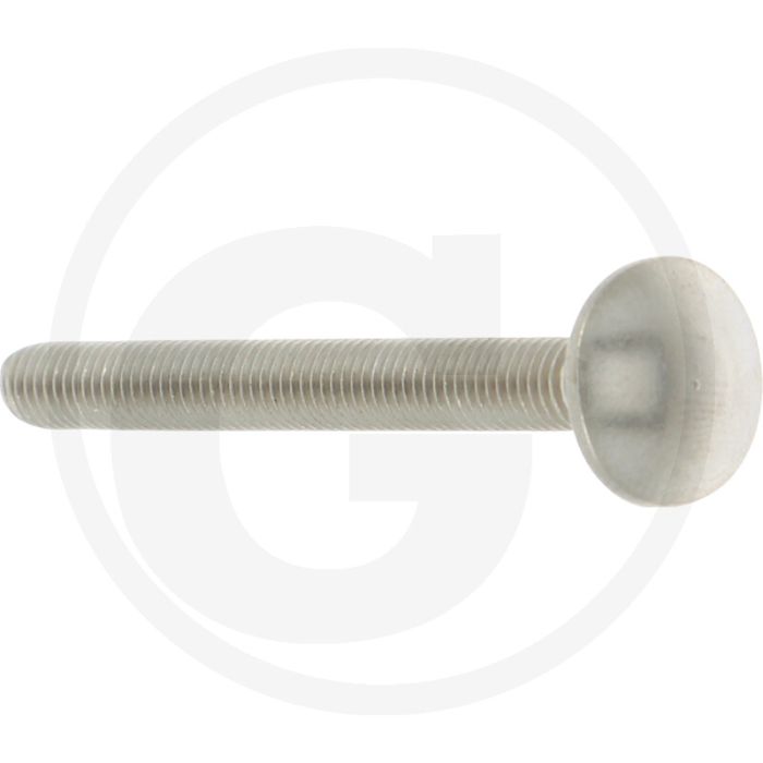 Slotbout M5 x 50, DIN 603, Roestvrijstaal (V2A), Platte ronde kop