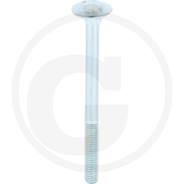 VPE50 slotbouten M5x60 DIN 603 staal 4.6 gegalvaniseerd platte ronde kop