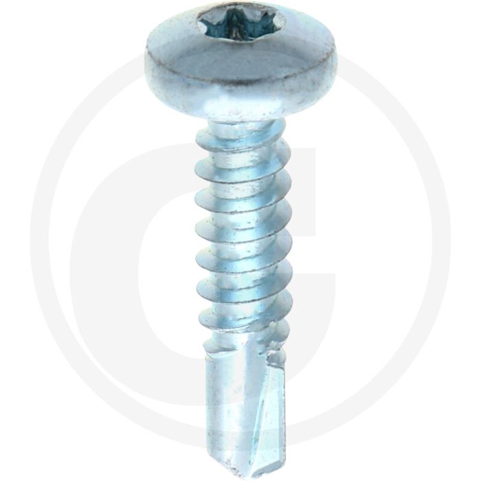 VPE500 zelfb. schroeven 5,5x25 DIN 7504 gegalvaniseerd staal T25 bolle kop
