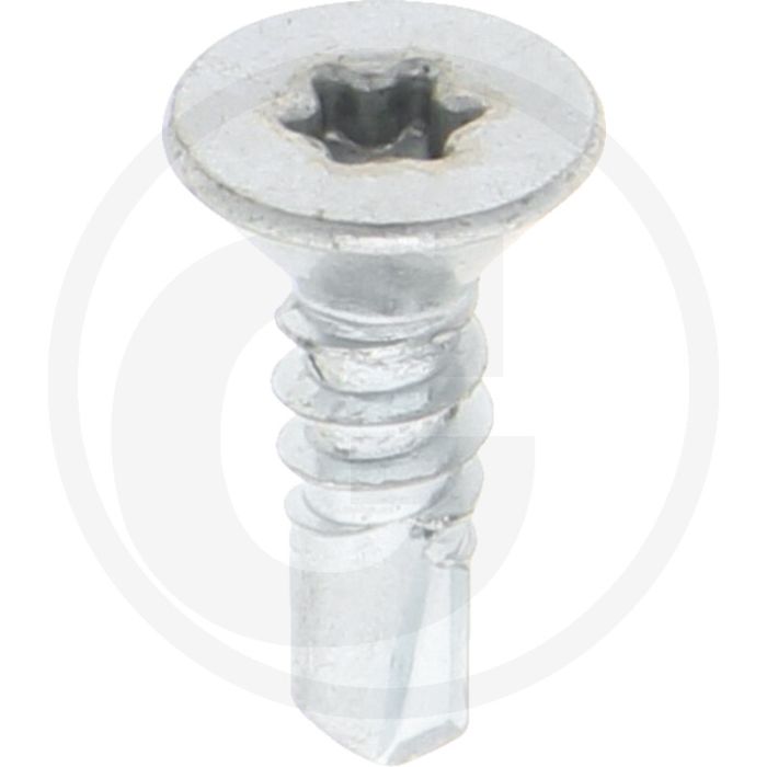 VPE250 zelfb. schroeven 5,5x19 DIN 7504 gegalvaniseerd staal T25 kruiskop