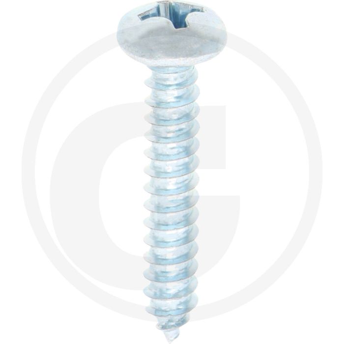 Bolkop plaatschroef 5,5 x 32 DIN 7981 (VPE100)