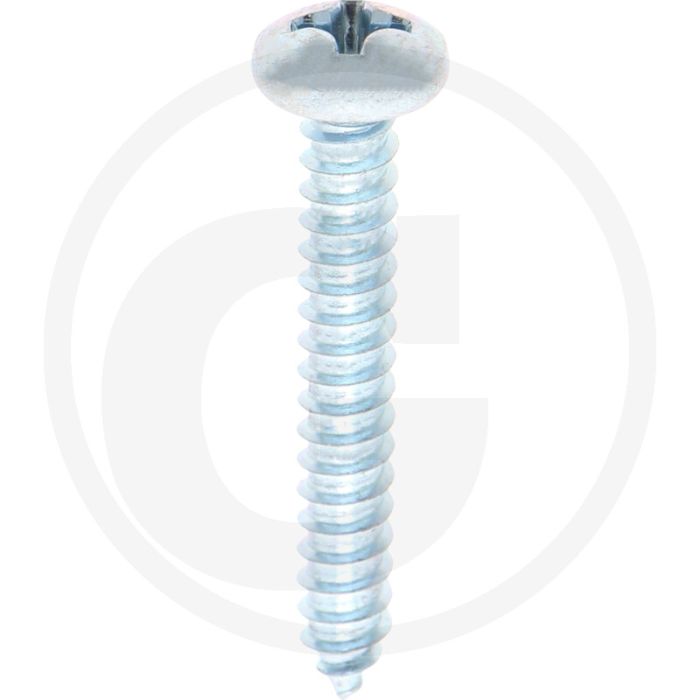 Bolkop plaatschroef 5,5 x 38 DIN 7981 (VPE100)