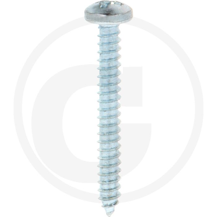 Bolkop plaatschroef 5,5 x 45 DIN 7981 (VPE100)