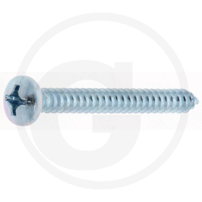 Bolkop plaatschroef 5,5 x 50 DIN 7981 (VPE100)
