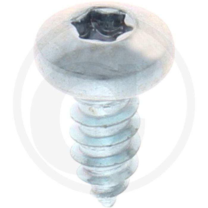 Bolkop plaatschroef 5,5 x 13 DIN 7981 (VPE500)