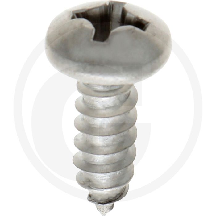 Bolkop plaatschroef 5,5 x 16 DIN 7981 (VPE500)