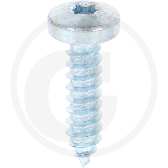 Bolkop plaatschroef 5,5 x 22 DIN 7981 (VPE500)