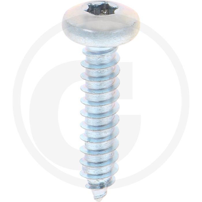Bolkop plaatschroef 5,5 x 25 DIN 7981 (VPE250)