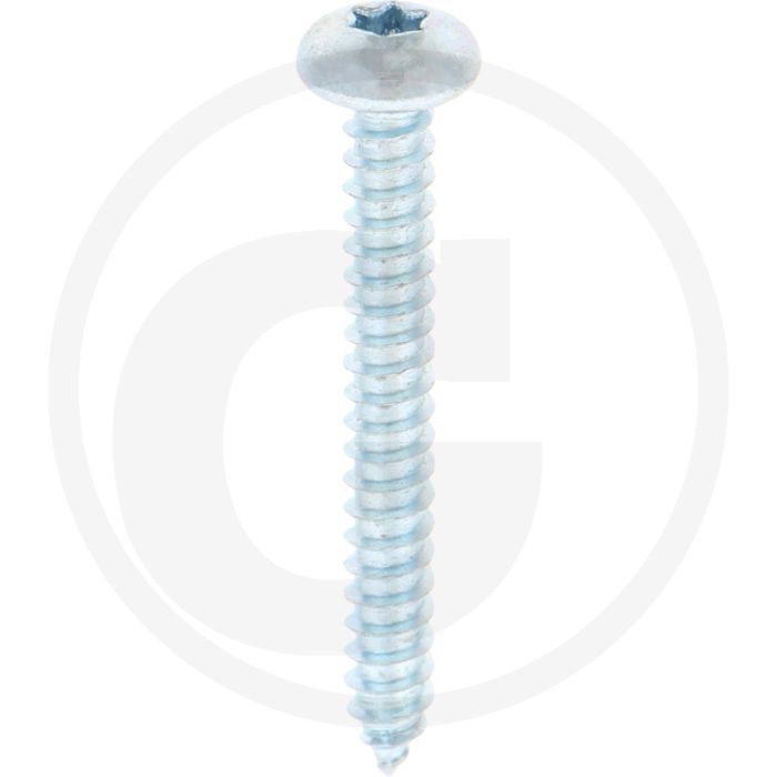 Bolkop plaatschroef 5,5 x 45 DIN 7981 (VPE250)