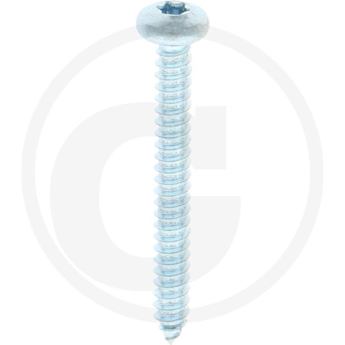 Bolkop plaatschroef 5,5 x 50 DIN 7981 (VPE250)