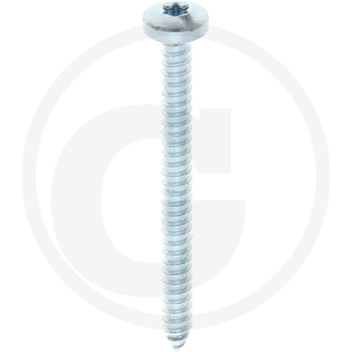 Bolkop plaatschroef 5,5 x 60 DIN 7981 (VPE250)