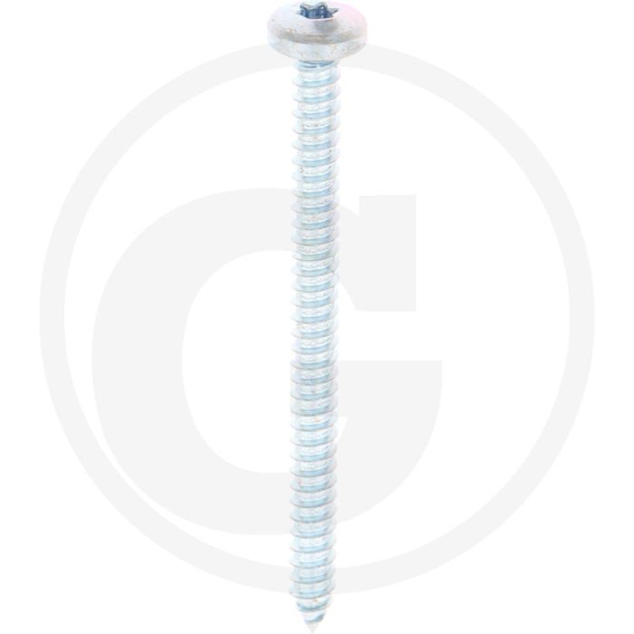 Bolkop plaatschroef 5,5 x 70 DIN 7981 (VPE250)