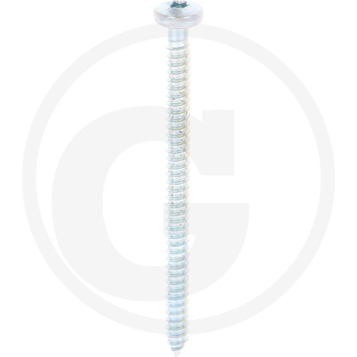 Bolkop plaatschroef 5,5 x 80 DIN 7981 (VPE250)