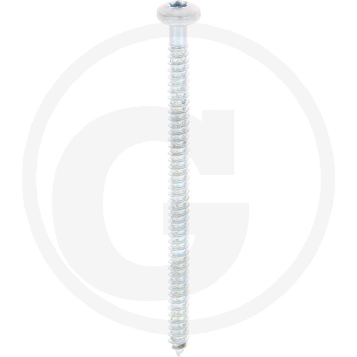 Bolkop plaatschroef 5,5 x 90 DIN 7981 (VPE250)