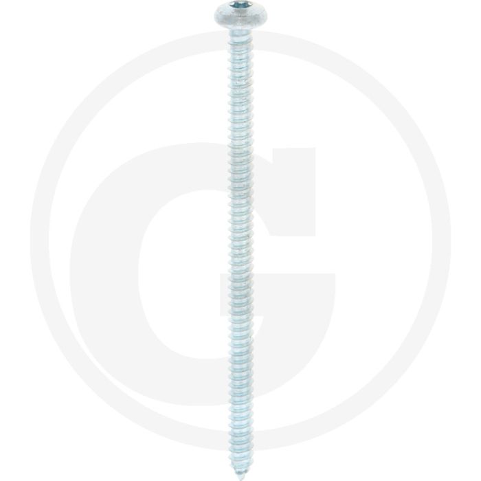 Bolkop plaatschroef 5,5 x 100 DIN 7981 (VPE250)