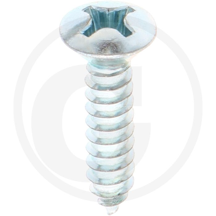 Bolkop plaatschroef 5,5 x 25 DIN 7983 (VPE100)