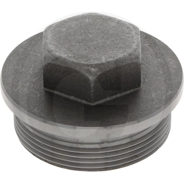 Afsluitplug G 2" DIN 910 Staal Buitenzeskant BSP 5.8