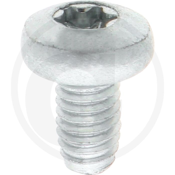 Zelfdraadvormende bout M6 x 10 DIN7500 (VPE1000)