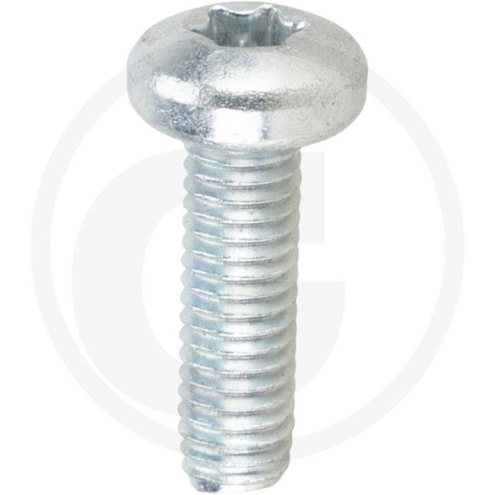Zelfdraadvormende bout M6 x 20 DIN7500 (VPE500)