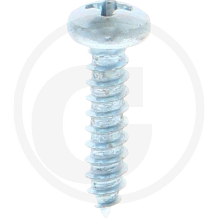 Bolkop plaatschroef 2,9 x 13 DIN 7981 (VPE100)