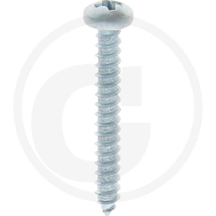 Bolkop plaatschroef 2,9 x 22 DIN 7981 (VPE100)