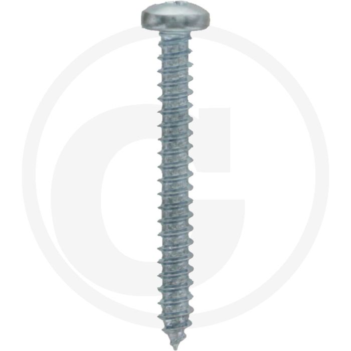 Bolkop plaatschroef 2,9 x 25 DIN 7981 (VPE100)
