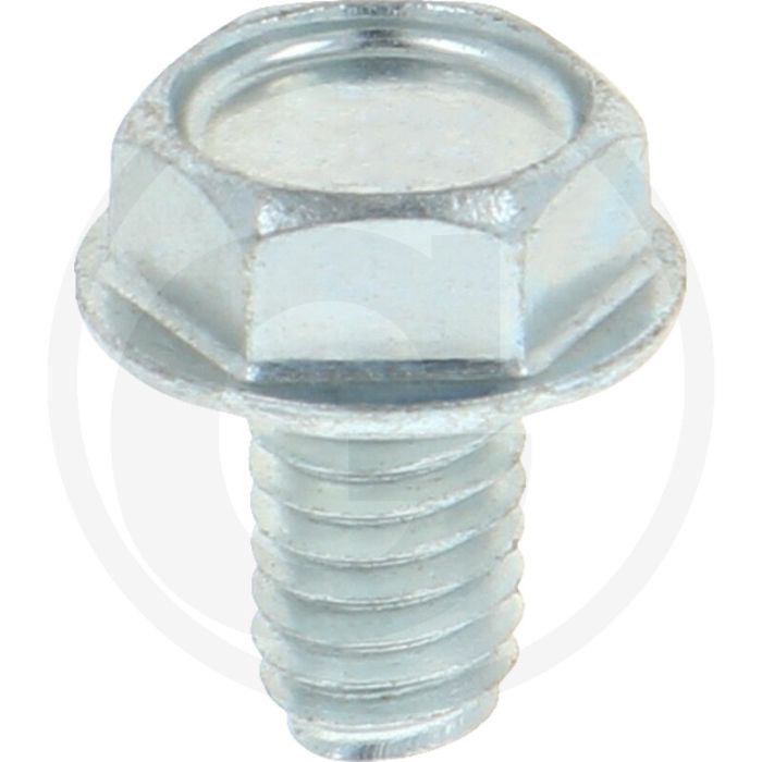 Zelfdraadvormende bout M6 x 10 DIN7500 (VPE1000)