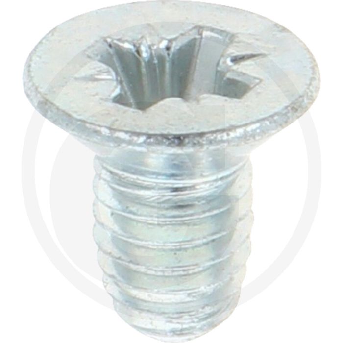 Zelfdraadvormende bout M6 x 10 DIN7500 (VPE1000)