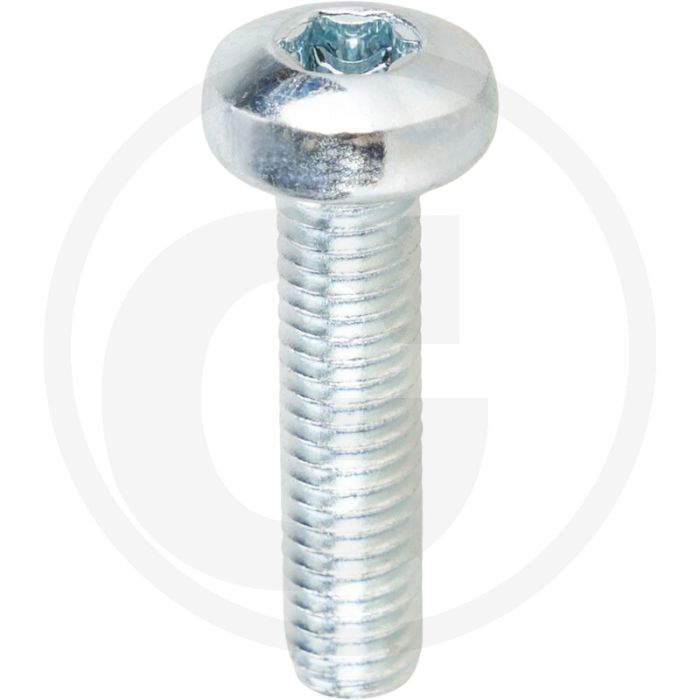 Bolcilinderkopschroeven DIN 7985 M6 x 25 staal gegalvaniseerd TORX® T30 klasse 4.8