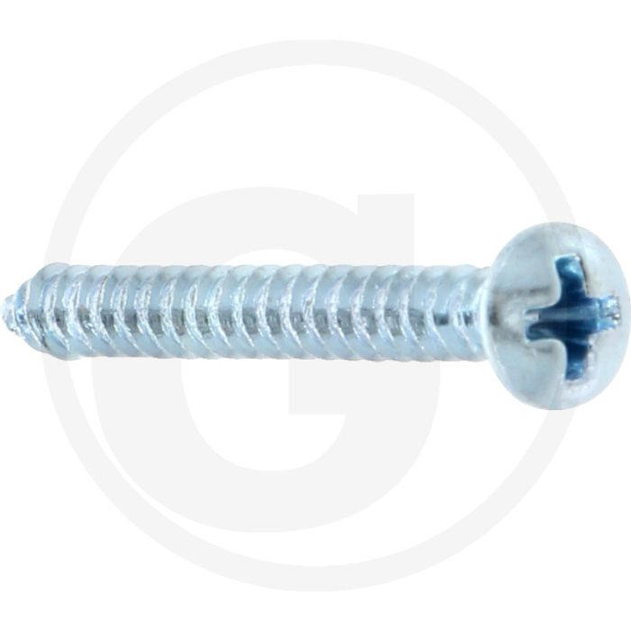 Bolkop plaatschroef 2,9 x 25 DIN 7983 (VPE100)