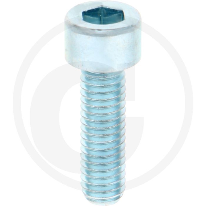 VPE100 cil. binnenzeskantb. M6x20 DIN912 staal 8.8 gegalvaniseerd