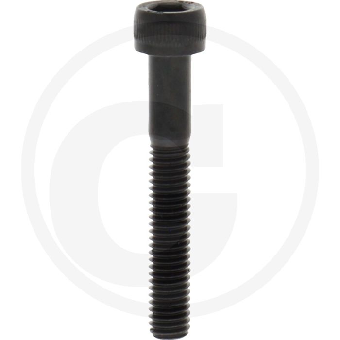 Cil. binnenzeskantbout M6x40 DIN912 Staal 12.9
