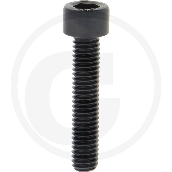 Cil. binnenzeskantbout M6x30 DIN912 Staal 12.9